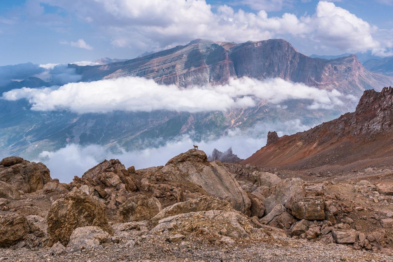 Шалбуз даг фото